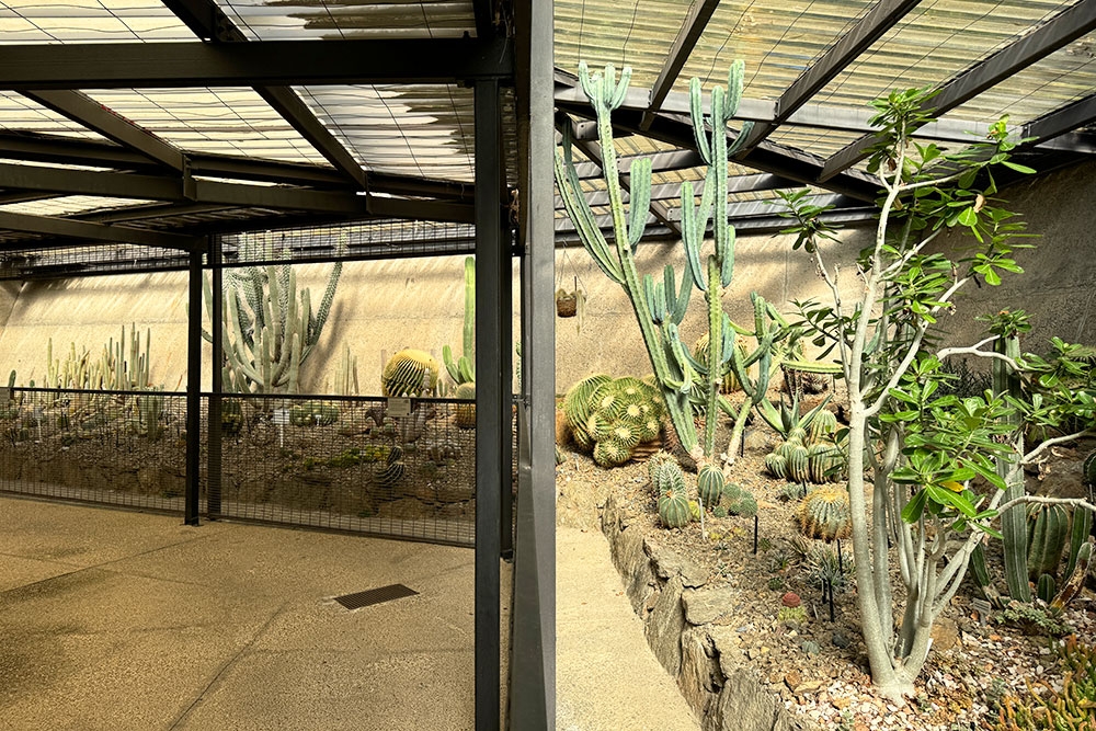 The Cacti & Bromeliad House, Brisbane Botanic Gardens Mt Coot-tha, Toowong, cactus, desert plants from around the world, Brisbane, Queensland