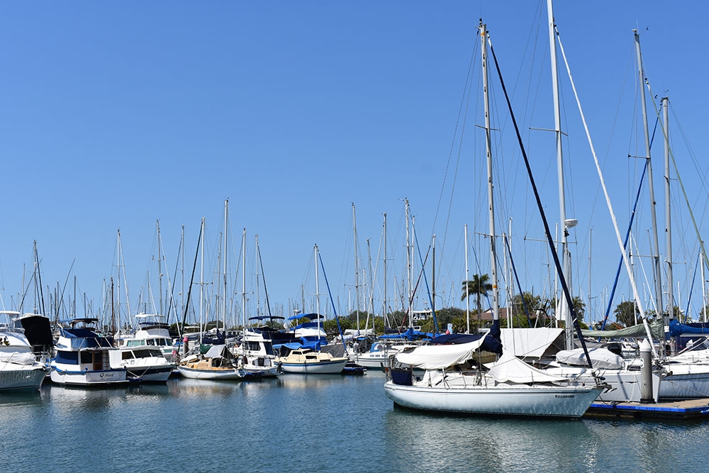 Marina at Manly