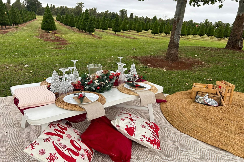 Picnic at Chrissy Trees 4 u
