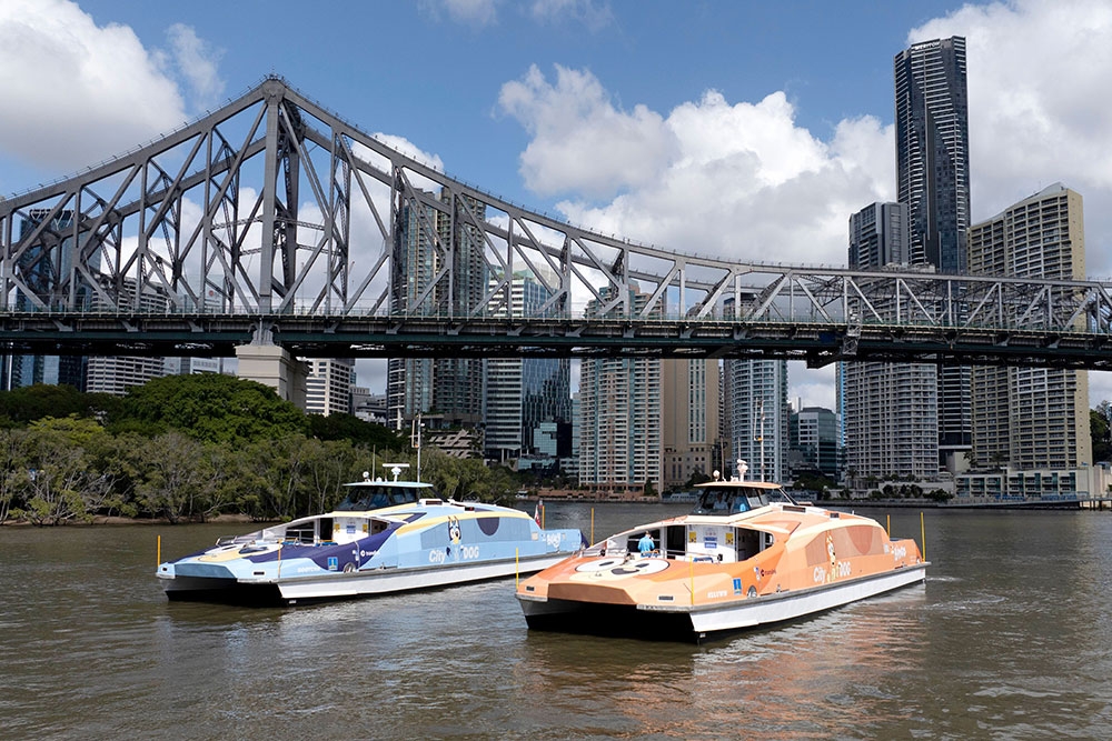 Bluey and Bingo CityDogs on Brisbane River