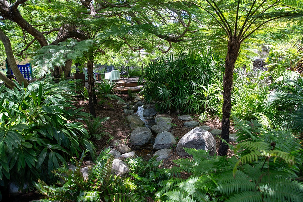Landscape at Civosity Park Bardon