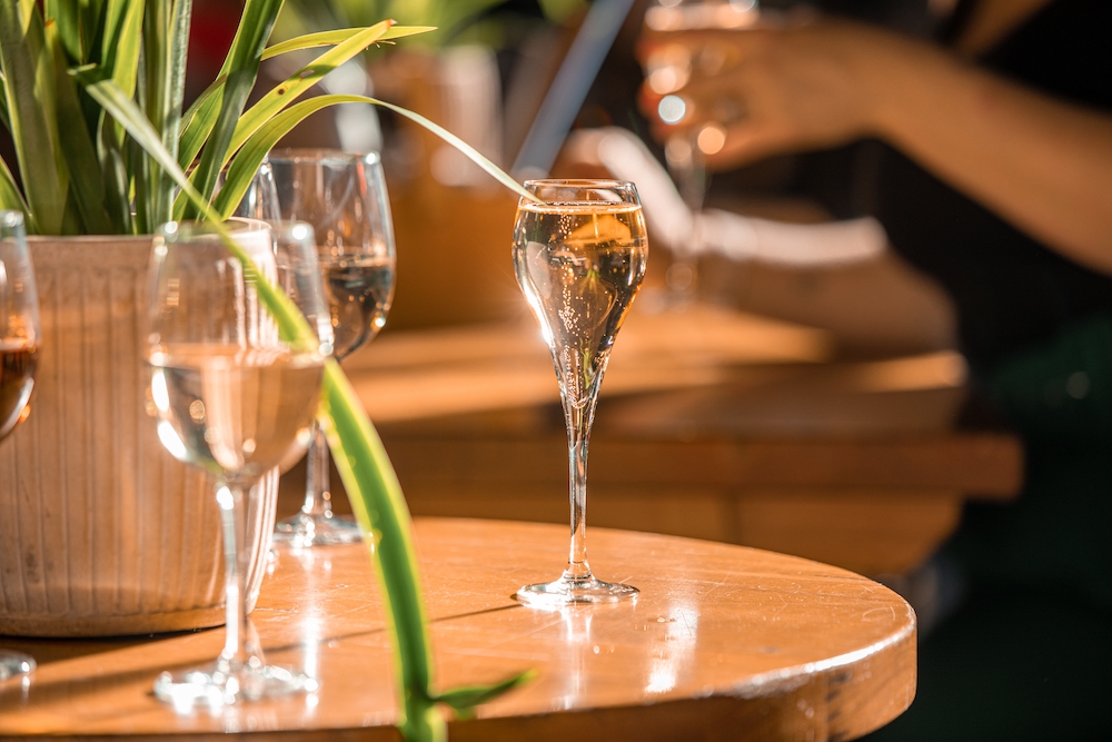 Vintopia: Champagne Wars