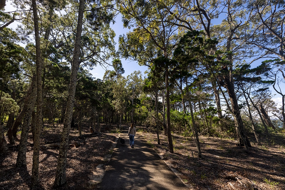 Walking trail Coochiemudlo
