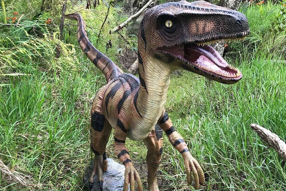 DinoFest Brisbane