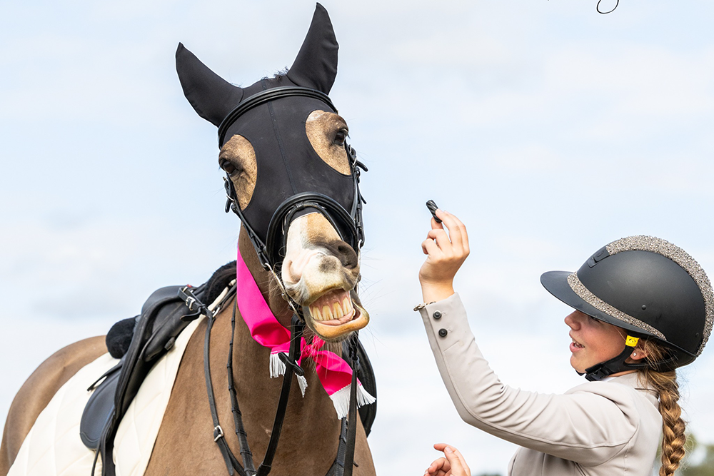 Festival of Showjumping 2026