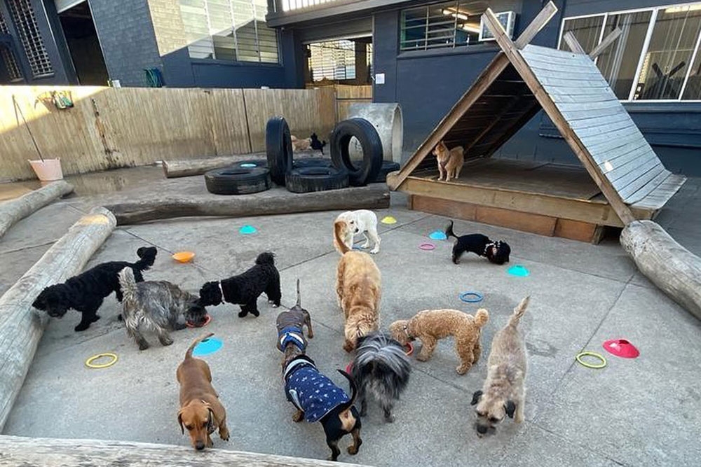 Barkley Park Day Care Kedron