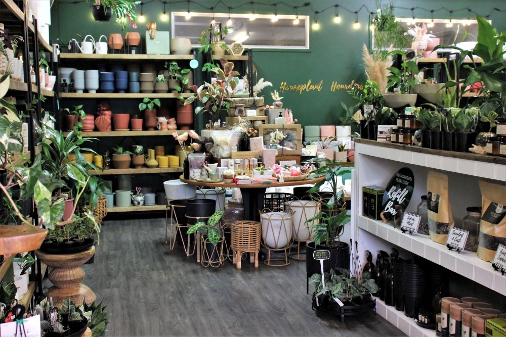 Houseplant Hoarders, Hendra 