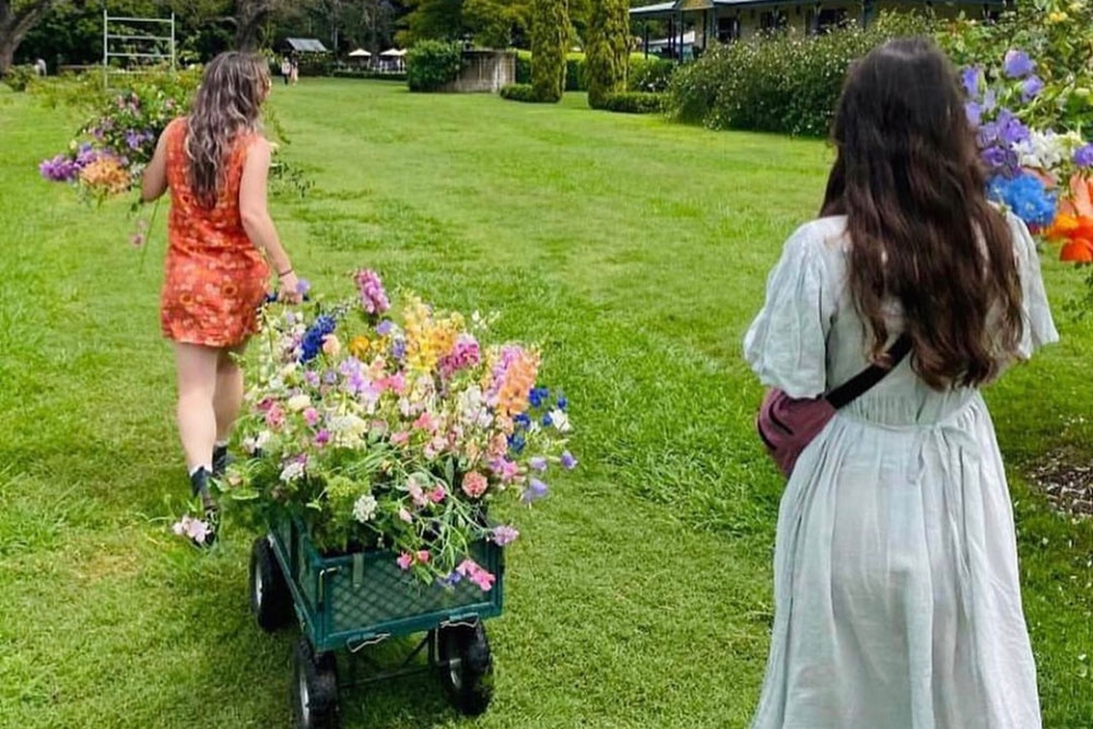 Elderflower Farm