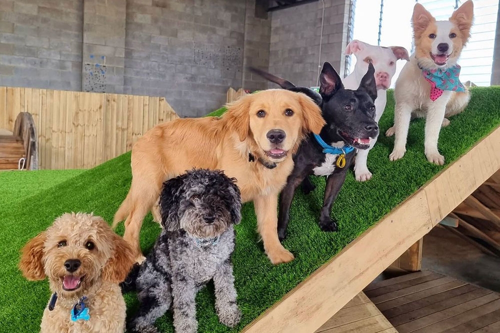 Barkley Park Day Care Kedron