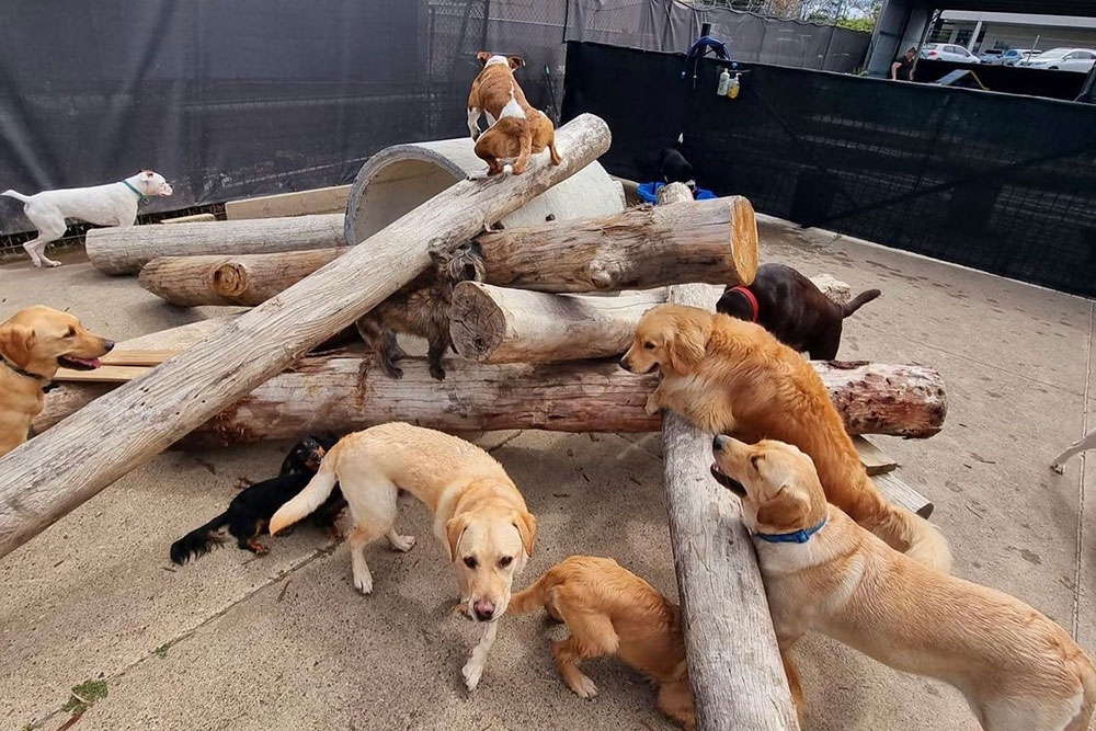 Barkley Park Day Care Kedron