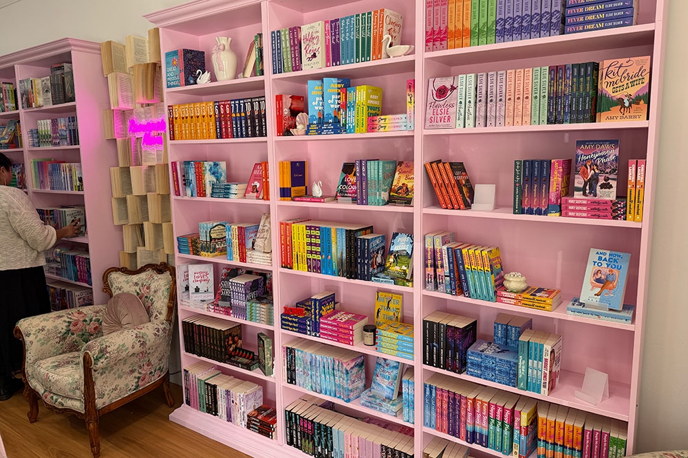 Interior shelves in Romancing the Novel New Farm