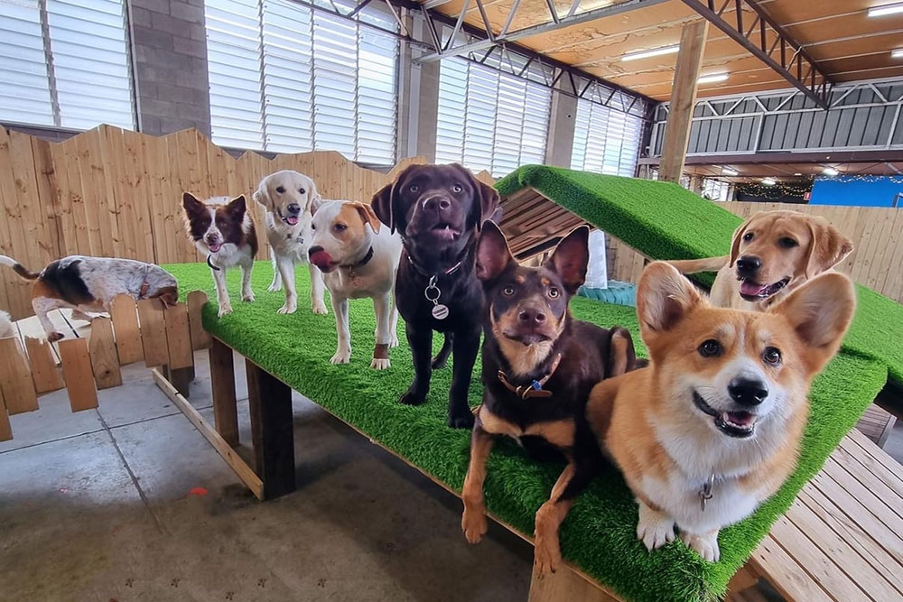 Barkley Park Day Care Kedron