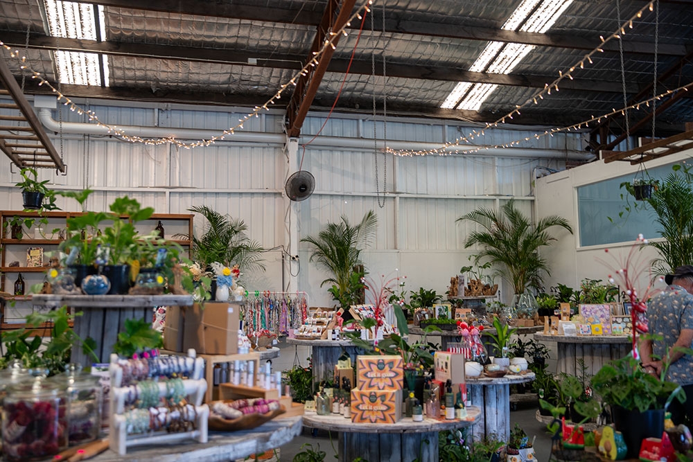 Plants for sale at I Wet My Plants Garden and Gifts