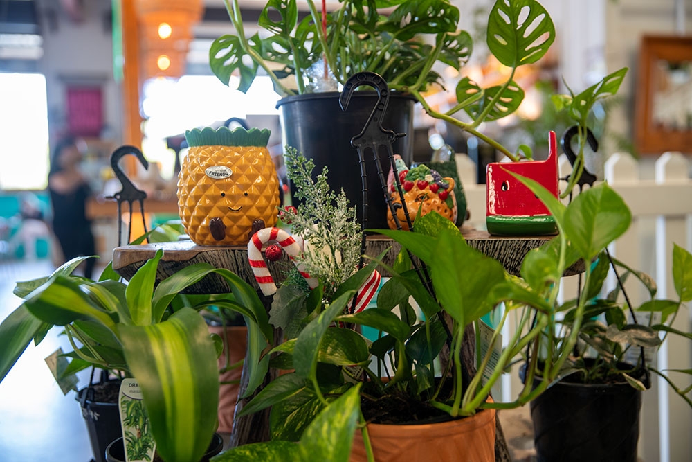 Plants/trinkets at I Wet My Plants Garden and Gifts