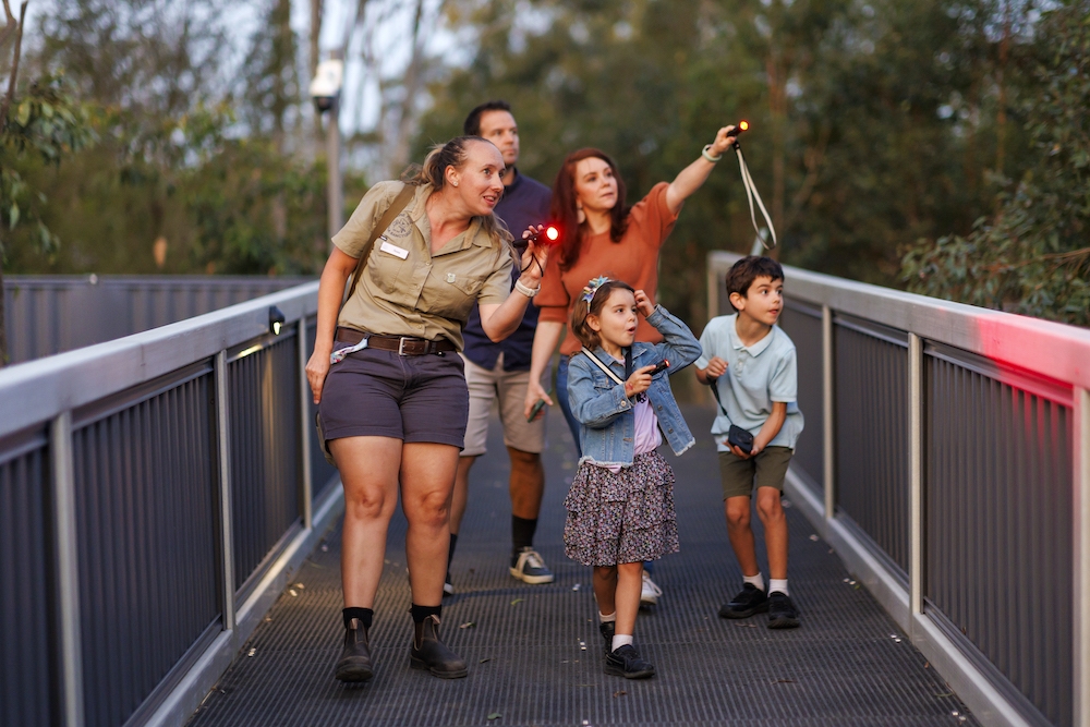 Lone Pine Koala Sanctuary's Nocturnal Tours