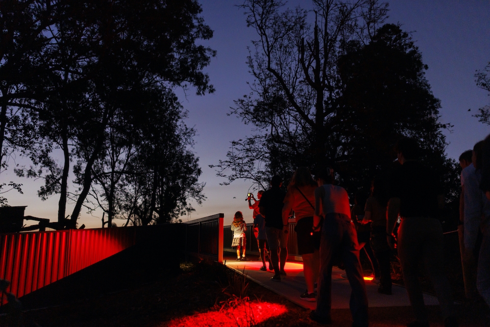 Lone Pine Koala Sanctuary's Nocturnal Tours