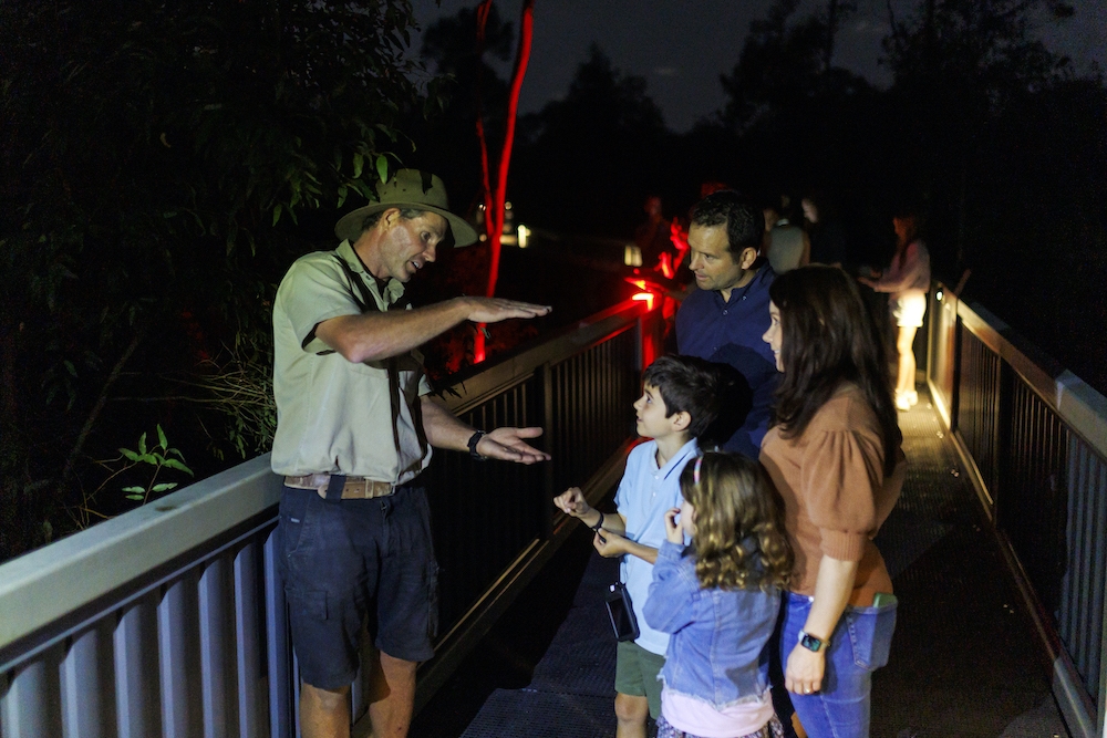 Lone Pine Koala Sanctuary's Nocturnal Tours