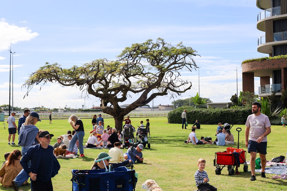 visitors on lawn at market