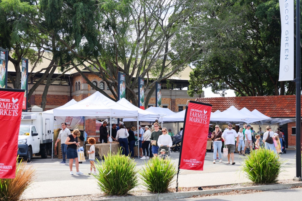 View of stalls at market