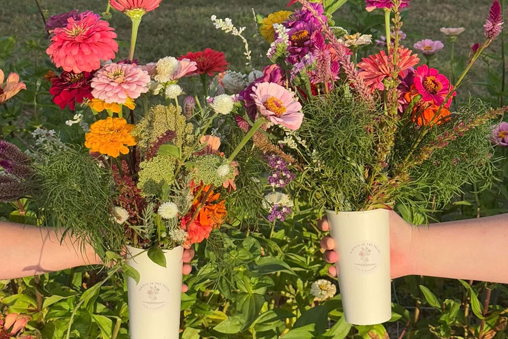 Vases of flowers at Karinya Flower Farm