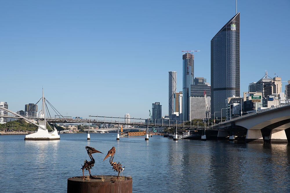 Two metal pelican artwork statues in front of the river from the Kangaroo Point City Walk, Brisbane