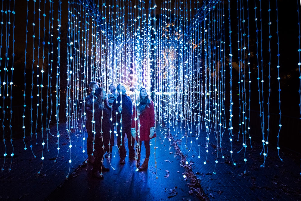 Lightscape City Botanic Gardens