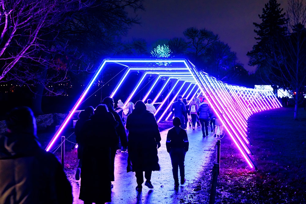 Lightscape City Botanic Gardens