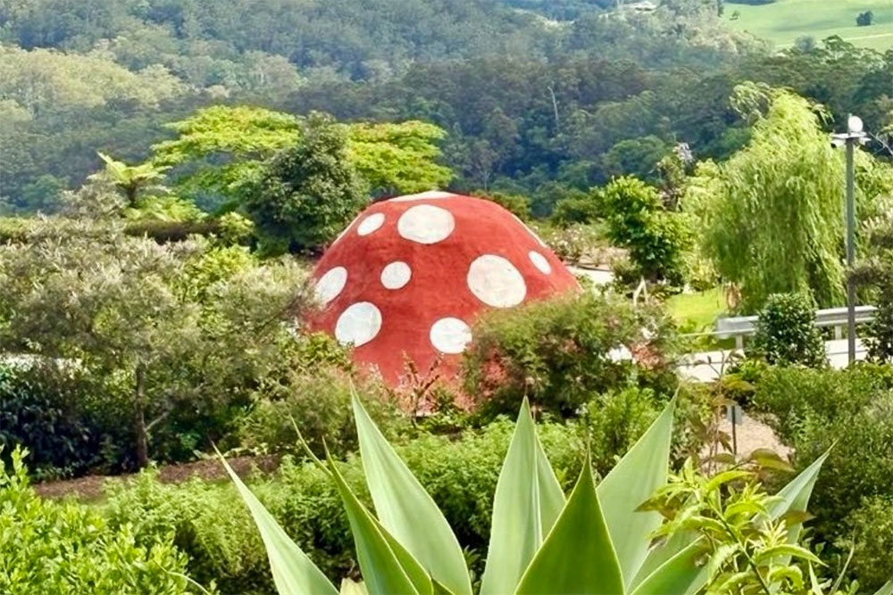 Maleny Fairy Garden 