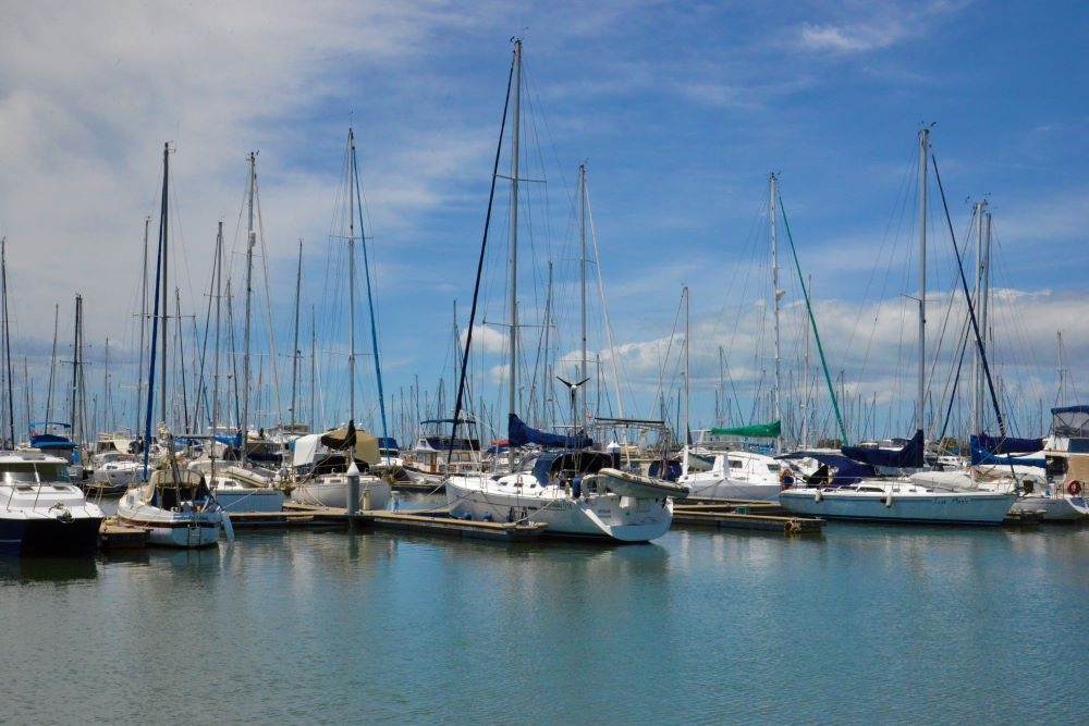 SeaVibes, Manly Harbour 