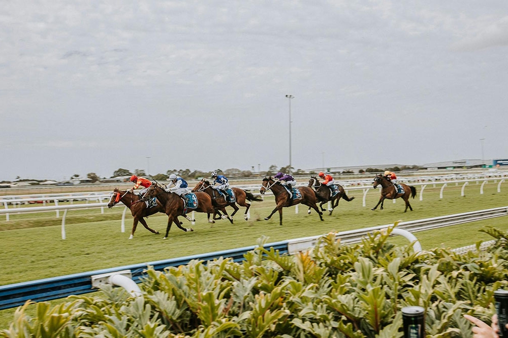 Horse Racing at Mekka Raceday
