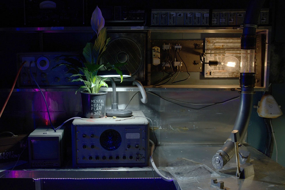 Mental-Health-Plant Project Immersive Escape Rooms