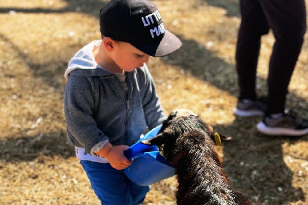 Boy feeding goat Moggill Farm Day