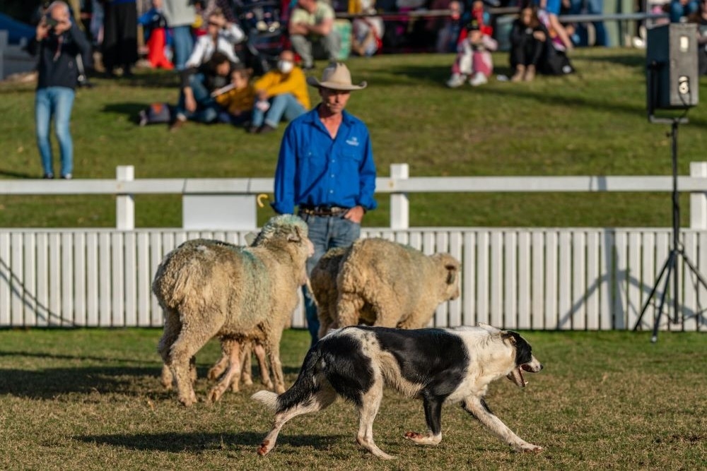 Mt Gravatt Show 