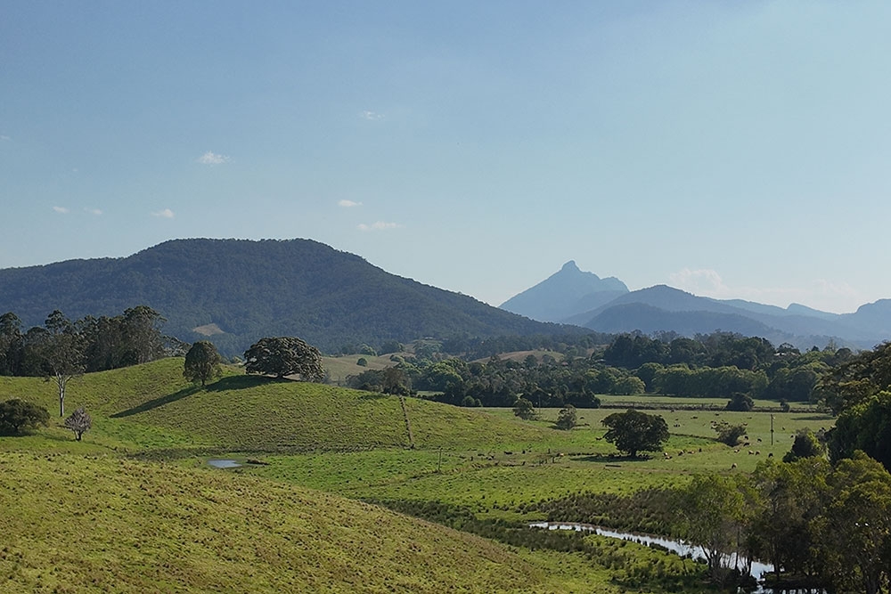 View of Mount Warning from the Northern Rivers Rail Trail  