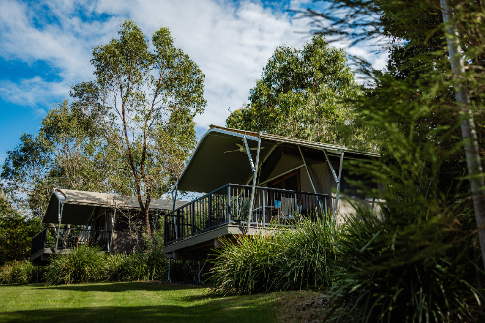Accommodation at Sirromet Winery