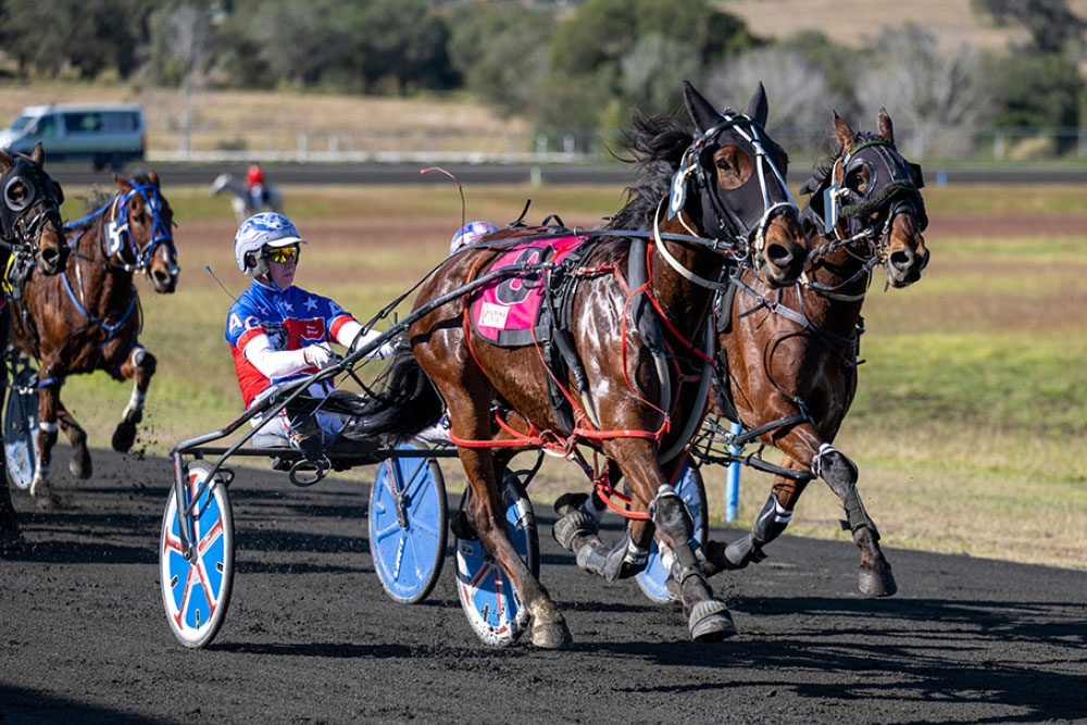 Horse trots on race track