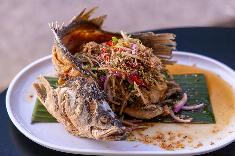 Baby barramundi at Naga Thai South Bank