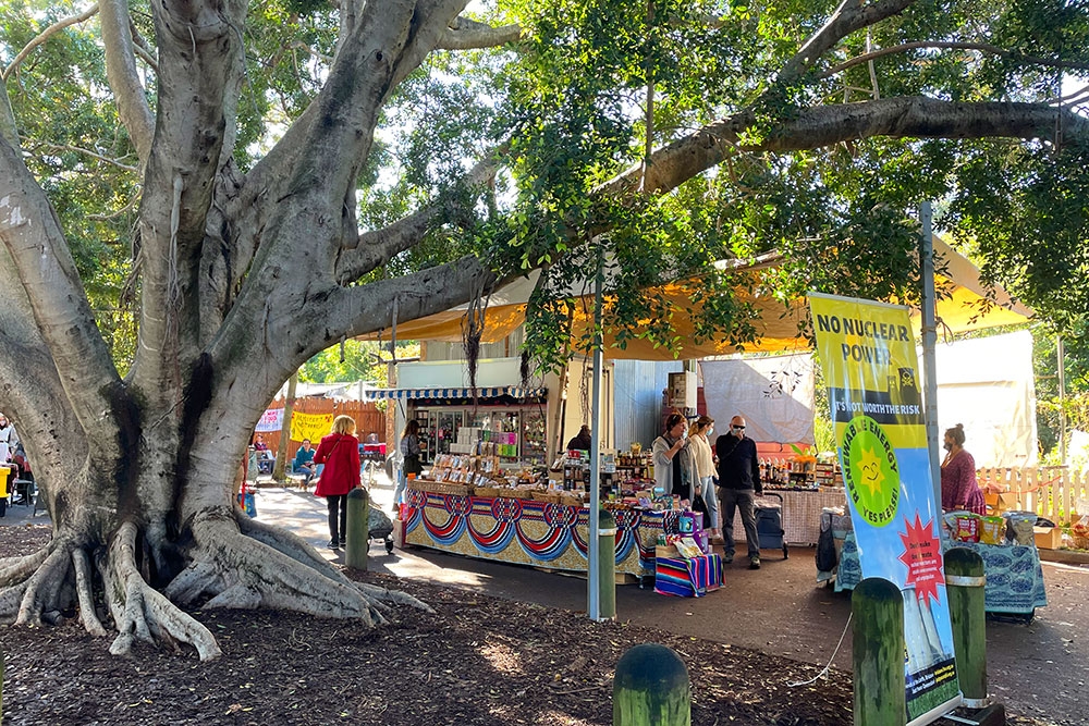 Trees at Northey Street Organic Farmers Market, Windsor
