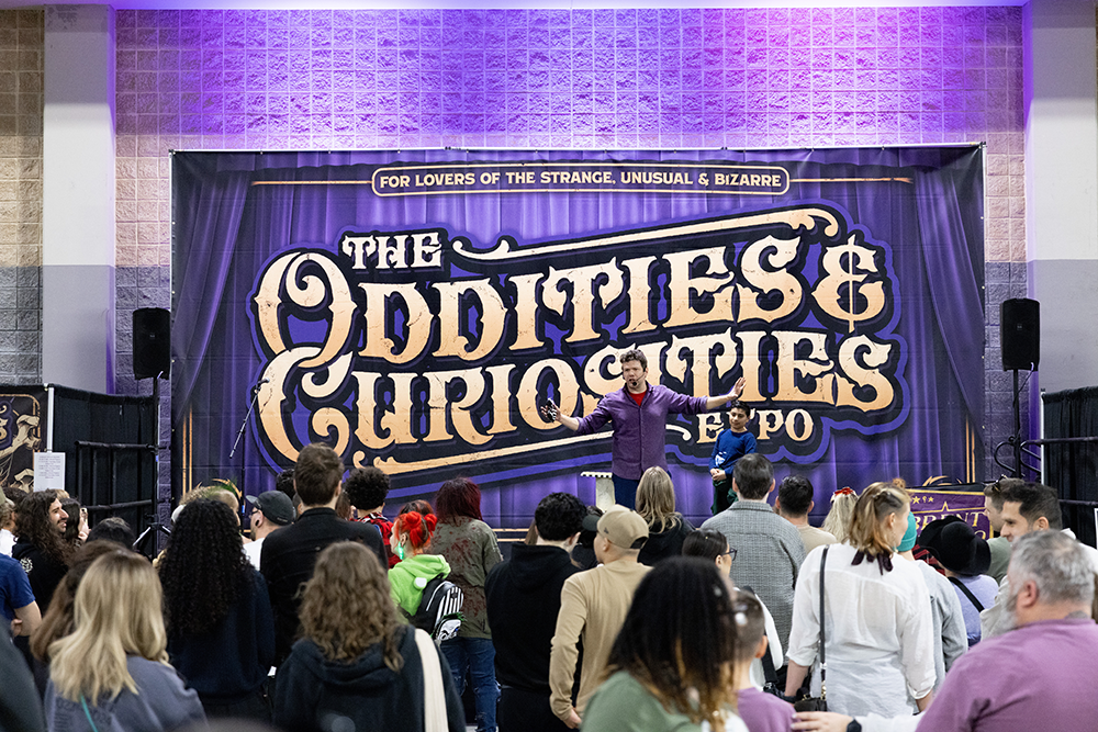 A stage at the Oddities and Curiosities Expo Brisbane