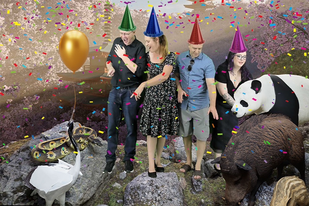 Birthday Parties at Hologram Zoo
