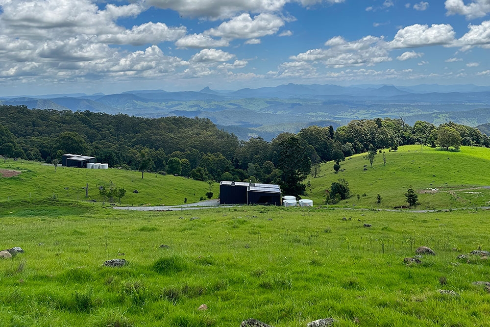 Off-grid chalet at Pat's Chalets Lamington National Park