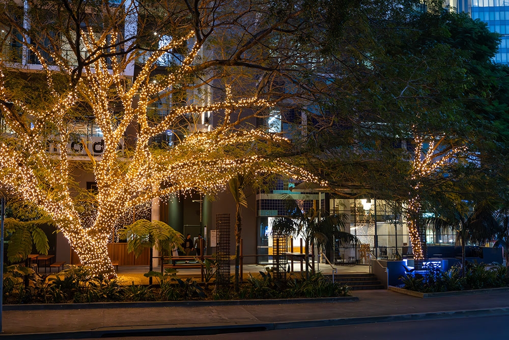 Exterior of Petite Fortitude Valley at night with fairy-lit tree