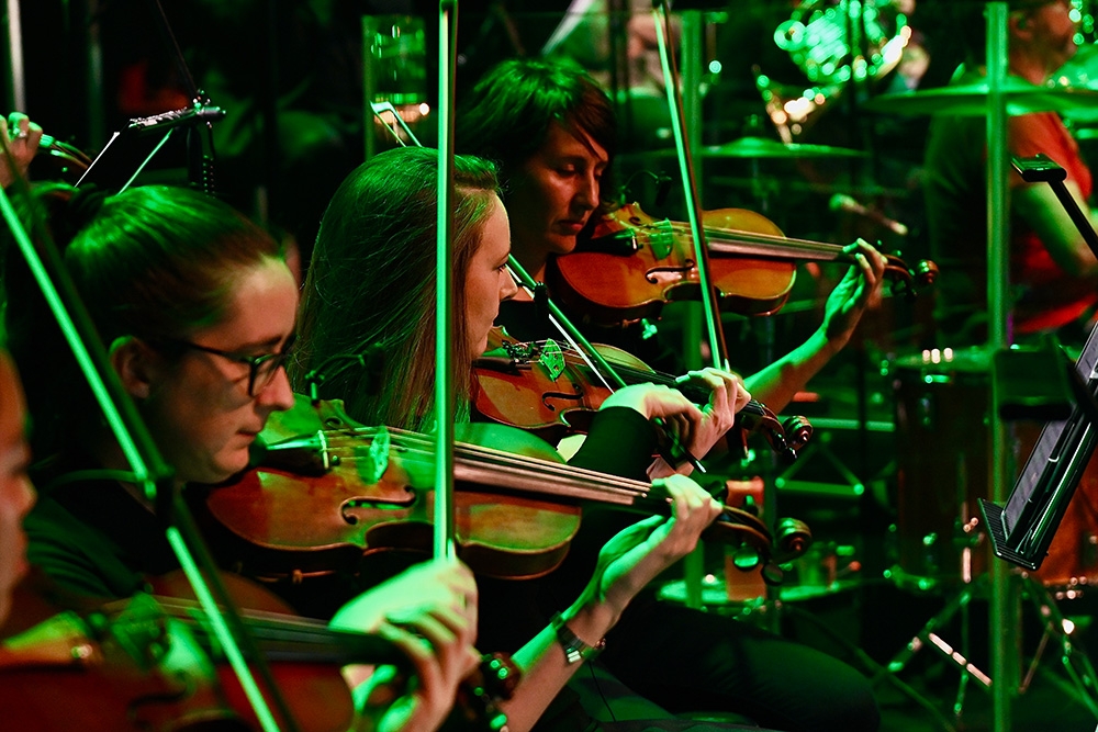 Violins