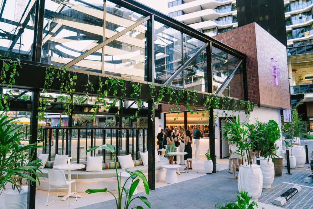 Purple Palm, Woolloongabba 