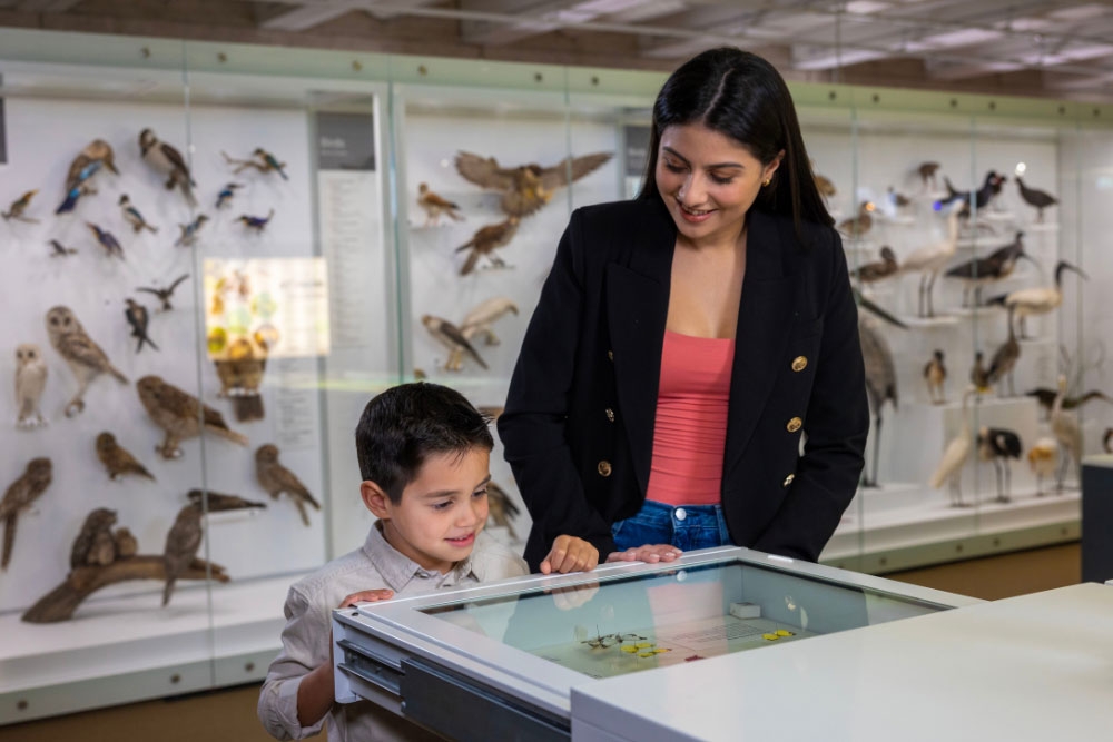 Mother and child looking at specimens