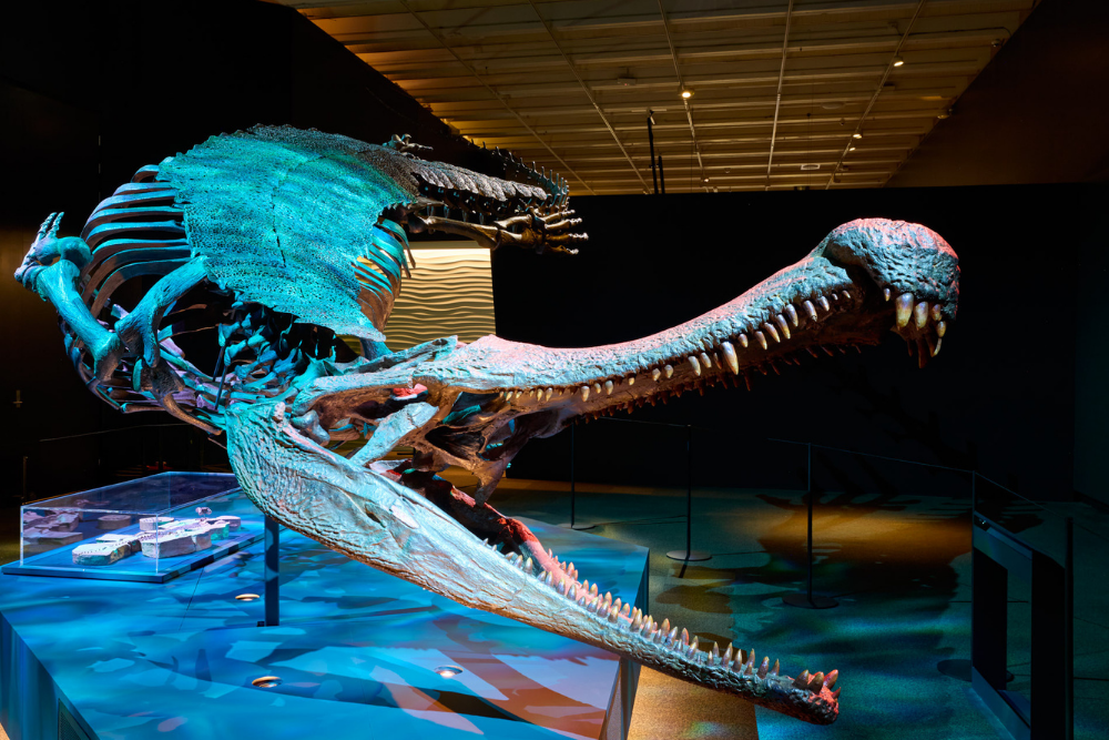School Holidays at Queensland Museum Kurilpa