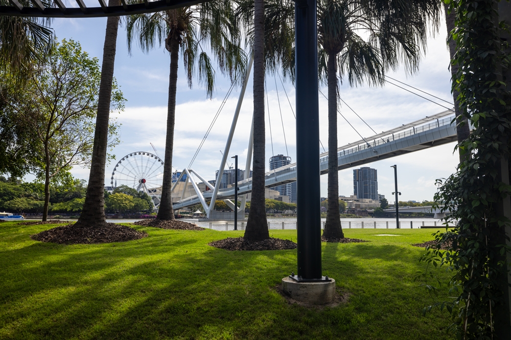 Green space on the river at The Landing Queens Wharf