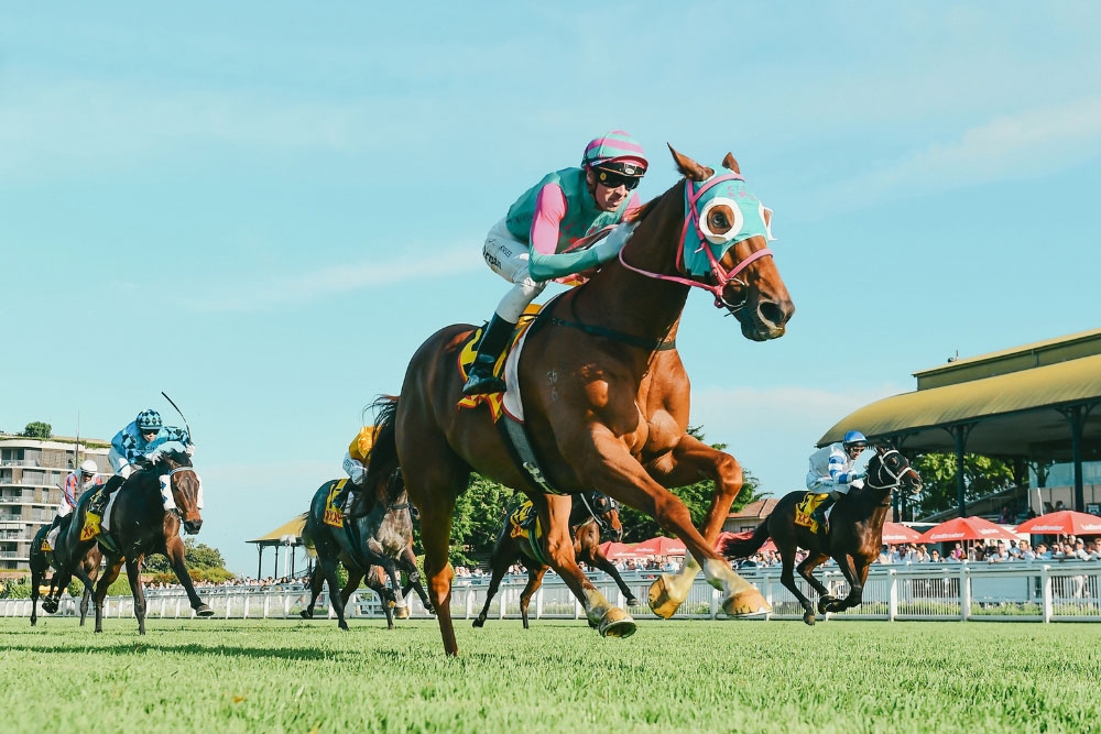 Horse racing at Queensland Cup