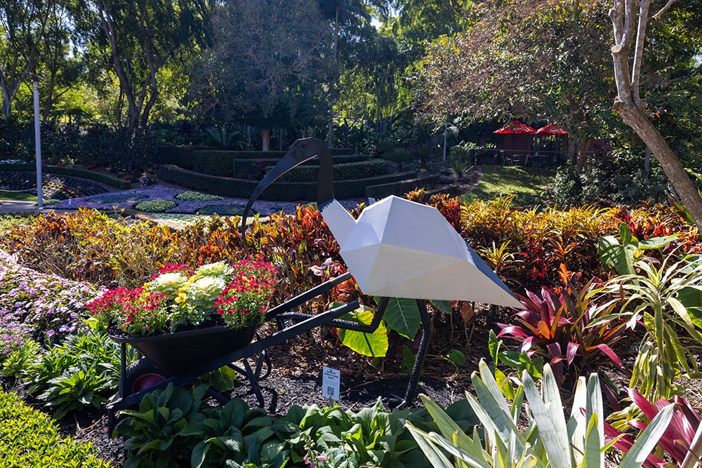 Flowers and ibis at Roma Street Parkland