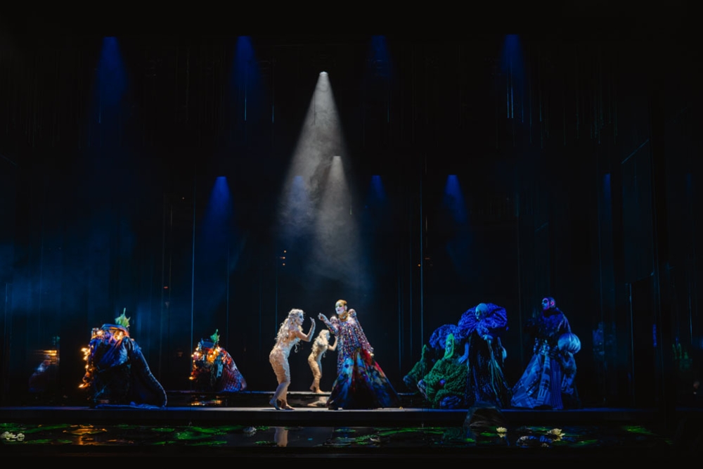 Performers of Rusalka on stage 